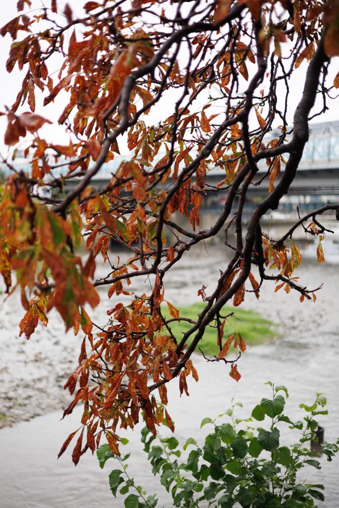 Фото Сочи 7 сентября 2025