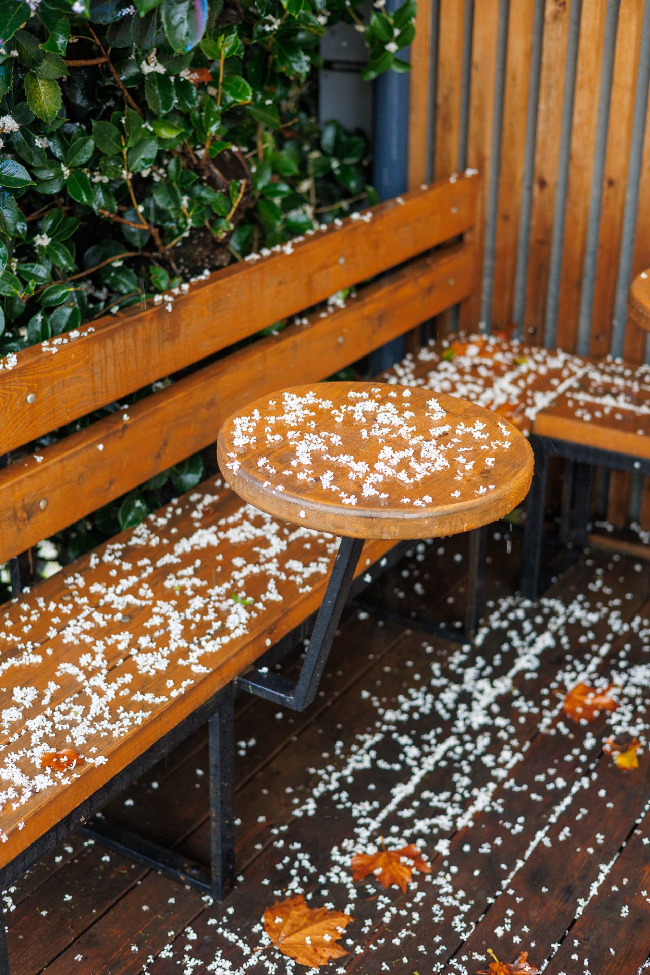 Фото Сочи 10 октября 2025